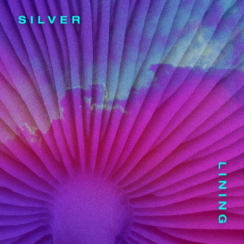 image cover Silver lining - New Bleach