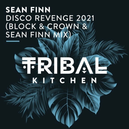 image cover Disco revenge 2021 (Block & Crown & Sean Finn radio edit) - Sean Finn