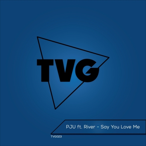 image cover Say you love me (Ghassemi remix) - Pju