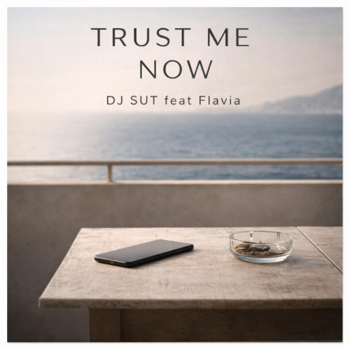 image cover Trust me now - DJ Sut