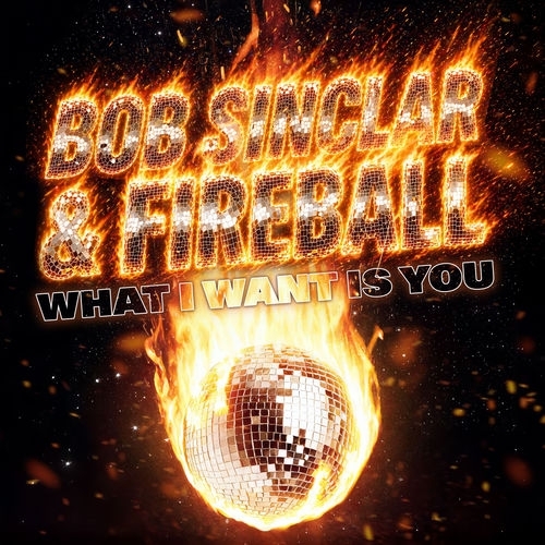 image cover What I want is you - Bob Sinclar